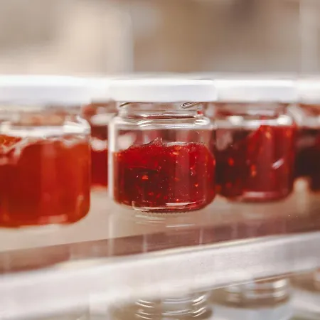 The Gast House Zell Am 4* Zell am See