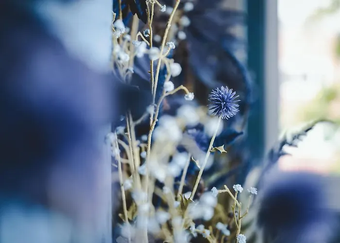The Gast House Zell Am Szálloda