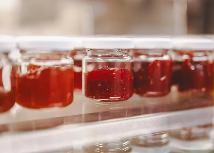 The Gast House Zell Am 4* Zell am See