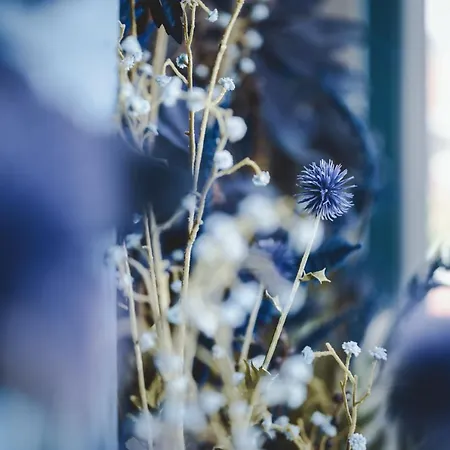 The Gast House Zell Am ホテル